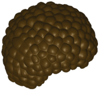 LEGO® los onderdeel Haar in kleur Donker Bruin 87995