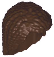 LEGO® los onderdeel Haar in kleur Donker Bruin 35182