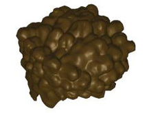 Plaatje in Gallery viewer laden, LEGO® los onderdeel Haar in kleur Donker Bruin 1685