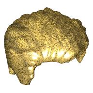 LEGO® los onderdeel Haar in kleur Parel Goud 23186