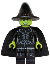 Plaatje in Gallery viewer laden, LEGO® minifiguur Dimensions dim005