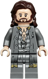 LEGO® minifiguur Harry Potter hp174
