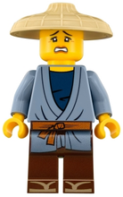 Plaatje in Gallery viewer laden, LEGO® minifiguur The LEGO Ninjago Movie njo0409