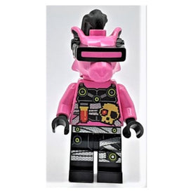 LEGO® minifiguur Ninjago njo564