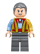 Plaatje in Gallery viewer laden, LEGO® minifiguur Super Heroes sh0410