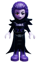 Plaatje in Gallery viewer laden, LEGO® minifiguur DC Super Hero Girls shg016