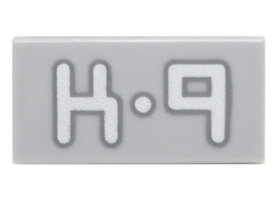 LEGO® Tegel met Motief Licht Blauwachtig Grijs 3069bpb0425